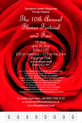 Red Rose Poster
