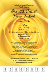 Yellow Rose Poster