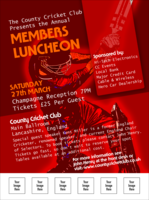 Cricket Flyer