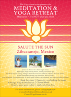 Lotus Flower Logo Flyer