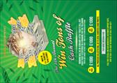 Cash Raffle Green Postcard