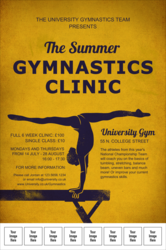 Gymnastics Logo Poster