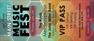 Music Festival VIP Pass