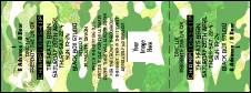 Camouflage Ticket