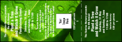 Leaf General Admission Ticket