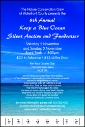 Nature Series - Blue Ocean Poster