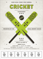 Cricket 3 Logo Flyer