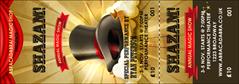 Magic Show Event Ticket