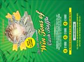 Cash Raffle Green Invitation