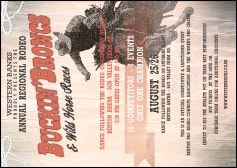 Bucking Bronco Postcard