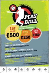 Softball Image Poster