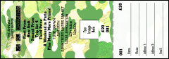 Camouflage Raffle Ticket